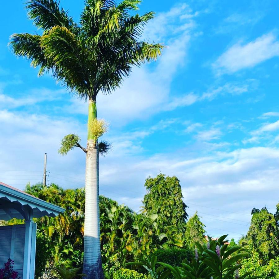 Villa Cajou Chambres D'Hotes Chez L'Habitant Et Zanzibar Cottage Trois-Rivières Exterior foto